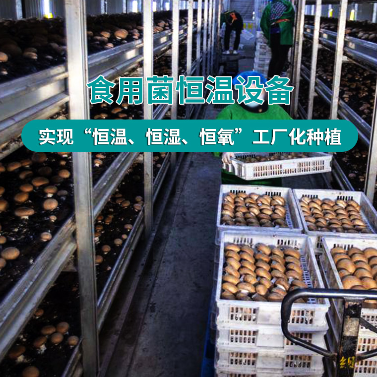 食用菌恒温空调设备